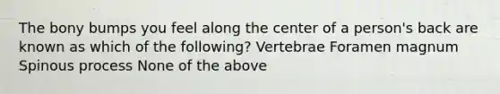 The bony bumps you feel along the center of a person's back are known as which of the following? Vertebrae Foramen magnum Spinous process None of the above