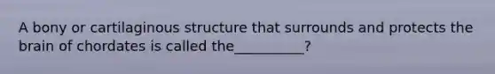 A bony or cartilaginous structure that surrounds and protects the brain of chordates is called the__________?