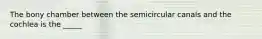 The bony chamber between the semicircular canals and the cochlea is the _____