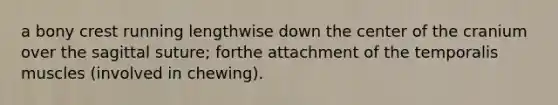 a bony crest running lengthwise down the center of the cranium over the sagittal suture; forthe attachment of the temporalis muscles (involved in chewing).