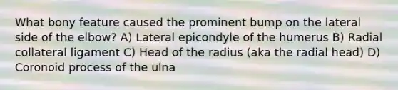 What bony feature caused the prominent bump on the lateral side of the elbow? A) Lateral epicondyle of the humerus B) Radial collateral ligament C) Head of the radius (aka the radial head) D) Coronoid process of the ulna