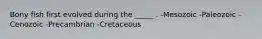 Bony fish first evolved during the _____ . -Mesozoic -Paleozoic -Cenozoic -Precambrian -Cretaceous