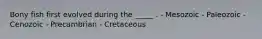 Bony fish first evolved during the _____ . - Mesozoic - Paleozoic - Cenozoic - Precambrian - Cretaceous