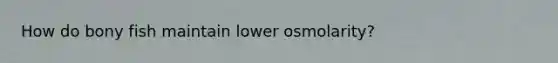 How do bony fish maintain lower osmolarity?