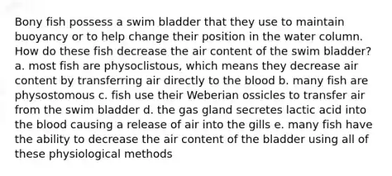 Bony fish possess a swim bladder that they use to maintain buoyancy or to help change their position in the water column. How do these fish decrease the air content of the swim bladder? a. most fish are physoclistous, which means they decrease air content by transferring air directly to the blood b. many fish are physostomous c. fish use their Weberian ossicles to transfer air from the swim bladder d. the gas gland secretes lactic acid into the blood causing a release of air into the gills e. many fish have the ability to decrease the air content of the bladder using all of these physiological methods