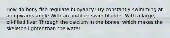 How do bony fish regulate buoyancy? By constantly swimming at an upwards angle With an air-filled swim bladder With a large, oil-filled liver Through the calcium in the bones, which makes the skeleton lighter than the water