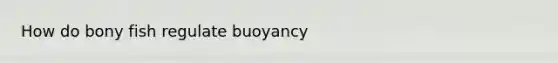 How do bony fish regulate buoyancy