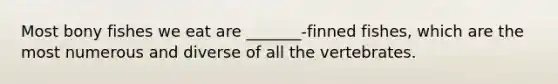 Most bony fishes we eat are _______-finned fishes, which are the most numerous and diverse of all the vertebrates.