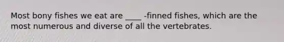 Most bony fishes we eat are ____ -finned fishes, which are the most numerous and diverse of all the vertebrates.
