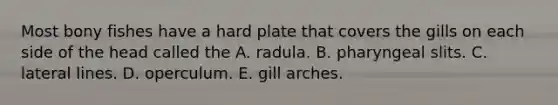 Most bony fishes have a hard plate that covers the gills on each side of the head called the A. radula. B. pharyngeal slits. C. lateral lines. D. operculum. E. gill arches.