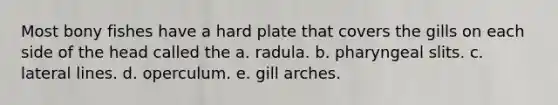 Most bony fishes have a hard plate that covers the gills on each side of the head called the a. radula. b. pharyngeal slits. c. lateral lines. d. operculum. e. gill arches.