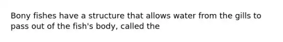 Bony fishes have a structure that allows water from the gills to pass out of the fish's body, called the