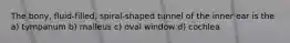The bony, fluid-filled, spiral-shaped tunnel of the inner ear is the a) tympanum b) malleus c) oval window d) cochlea