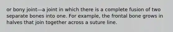 or bony joint—a joint in which there is a complete fusion of two separate bones into one. For example, the frontal bone grows in halves that join together across a suture line.