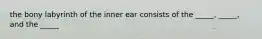 the bony labyrinth of the inner ear consists of the _____, _____, and the _____