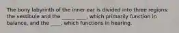 The bony labyrinth of the inner ear is divided into three regions: the vestibule and the _____ ____, which primarily function in balance, and the ____, which functions in hearing.