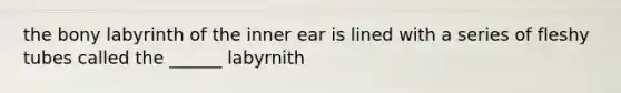 the bony labyrinth of the inner ear is lined with a series of fleshy tubes called the ______ labyrnith