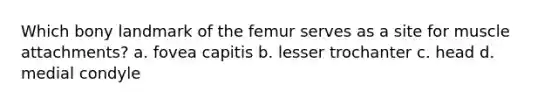 Which bony landmark of the femur serves as a site for muscle attachments? a. fovea capitis b. lesser trochanter c. head d. medial condyle