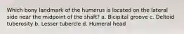 Which bony landmark of the humerus is located on the lateral side near the midpoint of the shaft? a. Bicipital groove c. Deltoid tuberosity b. Lesser tubercle d. Humeral head