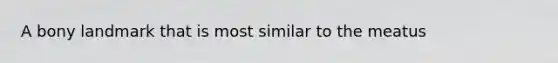 A bony landmark that is most similar to the meatus