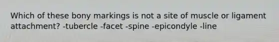 Which of these bony markings is not a site of muscle or ligament attachment? -tubercle -facet -spine -epicondyle -line