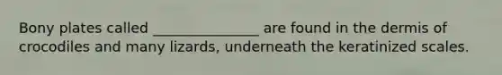 Bony plates called _______________ are found in the dermis of crocodiles and many lizards, underneath the keratinized scales.