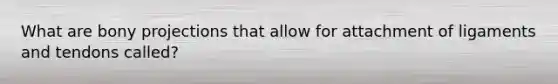 What are bony projections that allow for attachment of ligaments and tendons called?