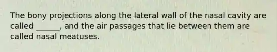 The bony projections along the lateral wall of the nasal cavity are called ______, and the air passages that lie between them are called nasal meatuses.