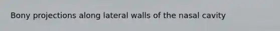 Bony projections along lateral walls of the nasal cavity