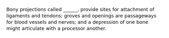 Bony projections called ______, provide sites for attachment of ligaments and tendons; groves and openings are passageways for blood vessels and nerves; and a depression of one bone might articulate with a processor another.