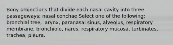 Bony projections that divide each nasal cavity into three passageways; nasal conchae Select one of the following; bronchial tree, larynx, paranasal sinus, alveolus, respiratory membrane, bronchiole, nares, respiratory mucosa, turbinates, trachea, pleura.