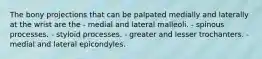 The bony projections that can be palpated medially and laterally at the wrist are the - medial and lateral malleoli. - spinous processes. - styloid processes. - greater and lesser trochanters. - medial and lateral epicondyles.