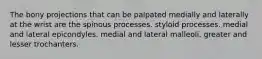 The bony projections that can be palpated medially and laterally at the wrist are the spinous processes. styloid processes. medial and lateral epicondyles. medial and lateral malleoli. greater and lesser trochanters.