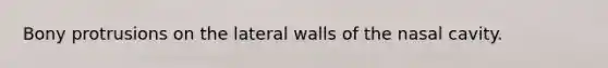 Bony protrusions on the lateral walls of the nasal cavity.
