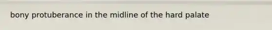 bony protuberance in the midline of the hard palate