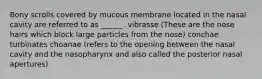 Bony scrolls covered by mucous membrane located in the nasal cavity are referred to as ______. vibrasse (These are the nose hairs which block large particles from the nose) conchae turbinates choanae (refers to the opening between the nasal cavity and the nasopharynx and also called the posterior nasal apertures)