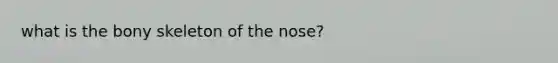 what is the bony skeleton of the nose?