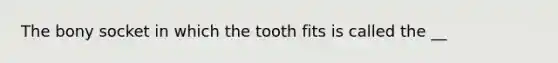 The bony socket in which the tooth fits is called the __