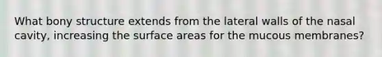 What bony structure extends from the lateral walls of the nasal cavity, increasing the surface areas for the mucous membranes?