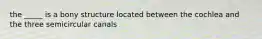 the _____ is a bony structure located between the cochlea and the three semicircular canals