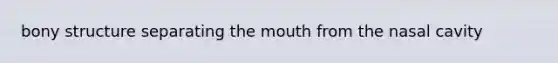 bony structure separating the mouth from the nasal cavity