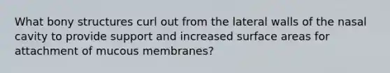 What bony structures curl out from the lateral walls of the nasal cavity to provide support and increased surface areas for attachment of mucous membranes?