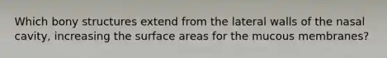 Which bony structures extend from the lateral walls of the nasal cavity, increasing the surface areas for the mucous membranes?