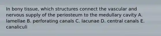 In bony tissue, which structures connect the vascular and nervous supply of the periosteum to the medullary cavity A. lamellae B. perforating canals C. lacunae D. central canals E. canaliculi