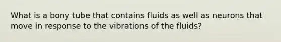 What is a bony tube that contains fluids as well as neurons that move in response to the vibrations of the fluids?