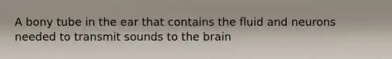 A bony tube in the ear that contains the fluid and neurons needed to transmit sounds to the brain