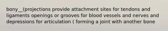bony__(projections provide attachment sites for tendons and ligaments openings or grooves for blood vessels and nerves and depressions for articulation ( forming a joint with another bone
