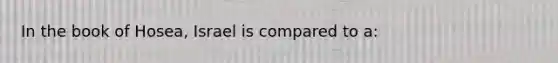 In the book of Hosea, Israel is compared to a: