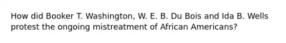 How did Booker T. Washington, W. E. B. Du Bois and Ida B. Wells protest the ongoing mistreatment of African Americans?