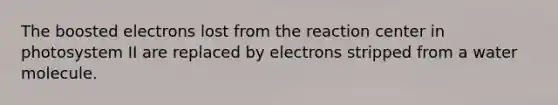 The boosted electrons lost from the reaction center in photosystem II are replaced by electrons stripped from a water molecule.